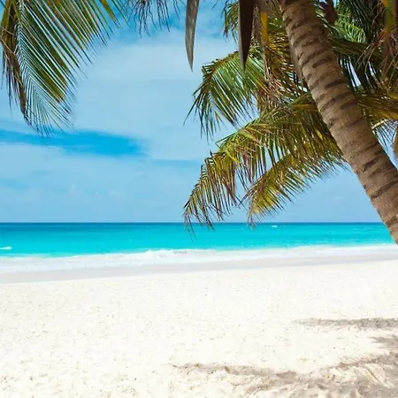 All Season Paradise In Cortez